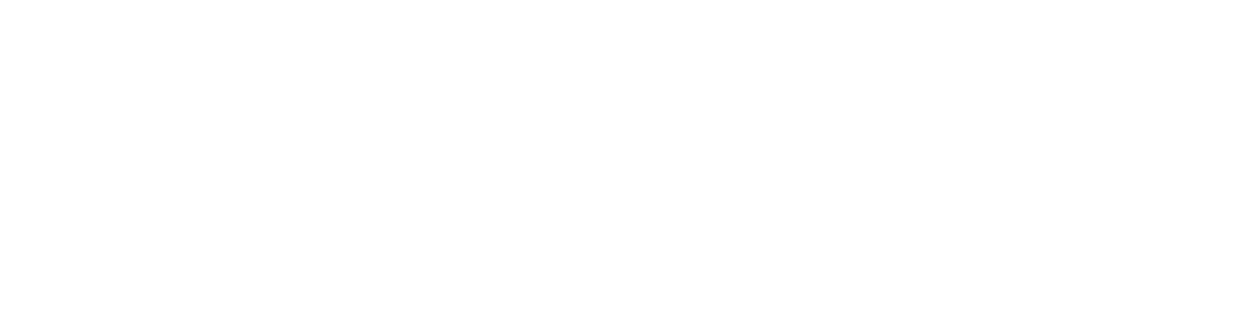 Primary_Wordmark_White