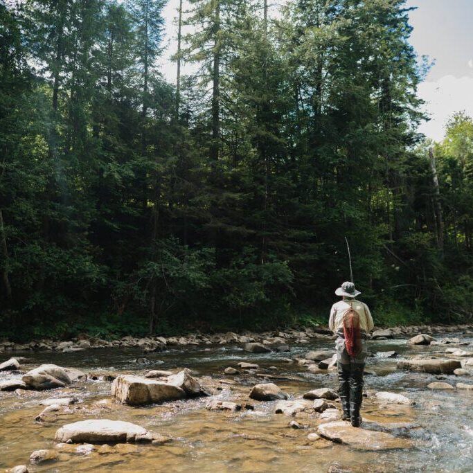 Fisherman,Casts,His,Line,Into,A,Clear,River,Flowing,Through